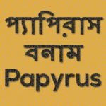 Image Papyrus vs Papyrus 01