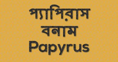 Image Papyrus vs Papyrus 01