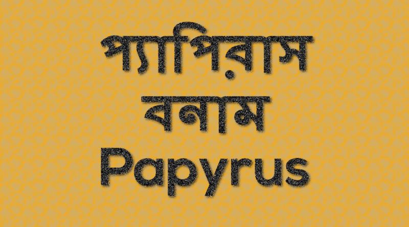 Image Papyrus vs Papyrus 01