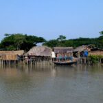 Feature sundarban
