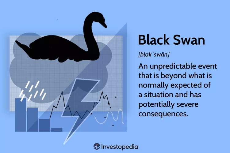 Blackswan f5daa1c10708423bbb218f9db5452eb0