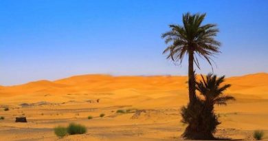 0301 Rhun Saha The Desert Journey গল্প
