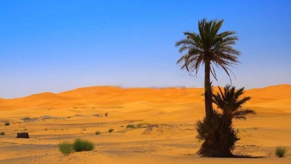 0301 Rhun Saha The Desert Journey গল্প