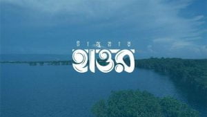 1001 cover
