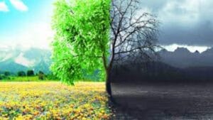 প্যাপাইরাস - নভেম্বর ২০২৪ সংখ্যা 35 0511.cover