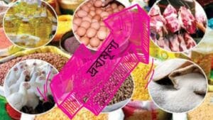 প্যাপাইরাস - নভেম্বর ২০২৪ সংখ্যা 32 20241114 221341 0000 optimized