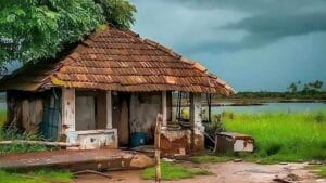 প্যাপাইরাস - ডিসেম্বর ২০২৪ সংখ্যা 41 0512 aatchala