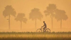 প্যাপাইরাস - ডিসেম্বর ২০২৪ সংখ্যা 45 1212.cover